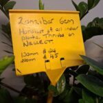 A yellow sign with black writing is attached to a plant.