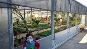 A young boy wearing a face mask stands in front of a greenhouse filled with plants.