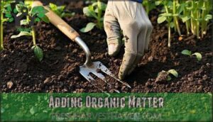 adding organic matter
