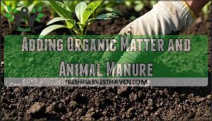 adding organic matter and animal manure