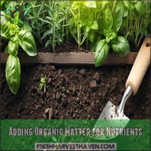 adding organic matter for nutrients