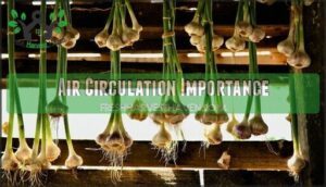 air circulation importance