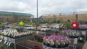 All Green Nursery & Garden