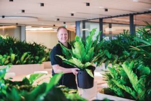 Ambius Indoor Plants Canberra