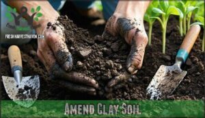 amend clay soil