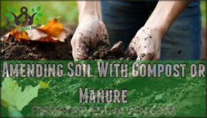 amending soil with compost or manure