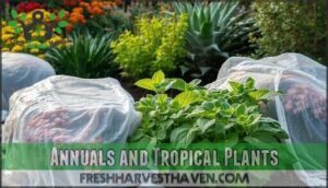 annuals and tropical plants
