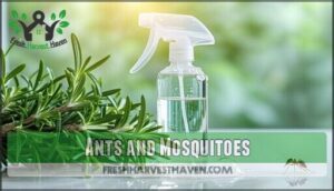 ants and mosquitoes