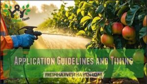 application guidelines and timing