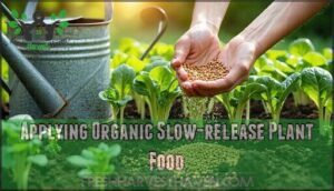 applying organic slow-release plant food
