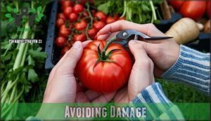 avoiding damage