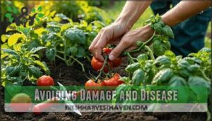 avoiding damage and disease