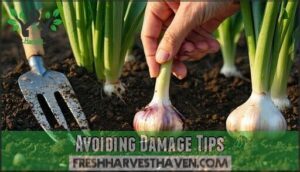 avoiding damage tips