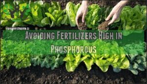 avoiding fertilizers high in phosphorous