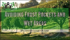 avoiding frost pockets and wet areas