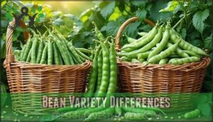 bean variety differences