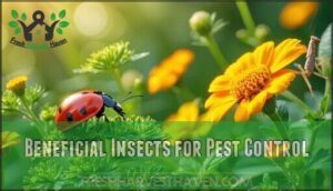 beneficial insects for pest control