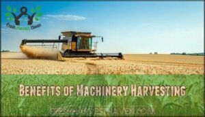 benefits of machinery harvesting