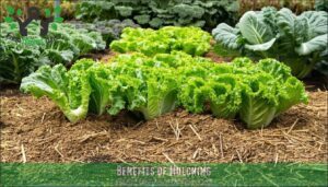 benefits of mulching