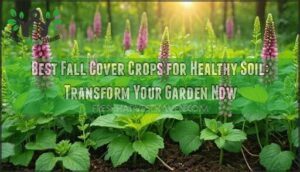 best fall cover crops for healthy soil