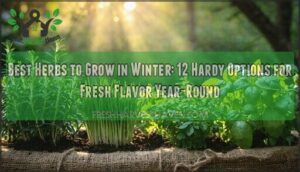 best herbs to grow in winter