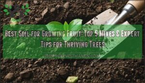 best soil for growing fruit