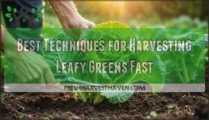best techniques for harvesting leafy greens