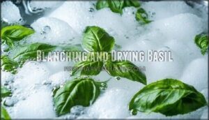 blanching and drying basil