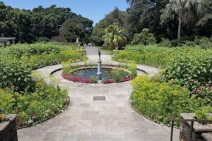 Botanic Gardens of Sydney
