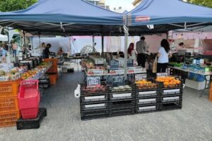 Brisbane City Markets (Reddacliff Place)