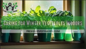 caring for winter vegetables indoors