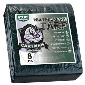 CARTMAN Finished Size 8x10 Feet B089PY2LCV