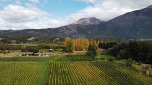 CASA YAGÜE - Host, Angus & Wines - Bodega