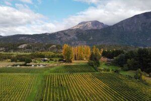 CASA YAGÜE - Host, Angus & Wines - Bodega