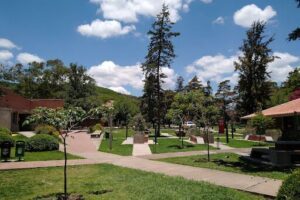 Catholic University of Salta
