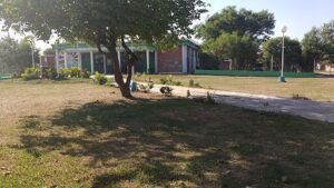 Centro Comunitario Barrio 244 Viviendas