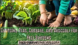 choosing peas, cabbage, and broccoli for fall gardens