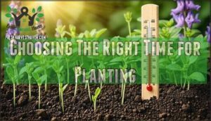 choosing the right time for planting