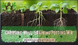choosing well-draining potting mix