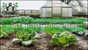 cold weather gardening basics