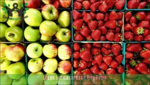 color indicators for ripe fruit