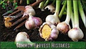 common harvest mistakes