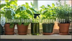 common indoor herb garden pests