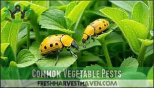 common vegetable pests