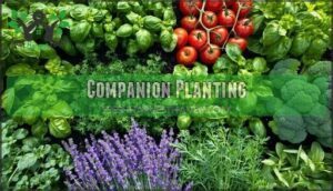 companion planting