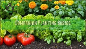 companion planting basics