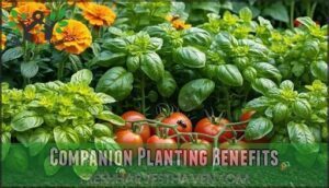 companion planting benefits