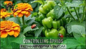 controlling aphids