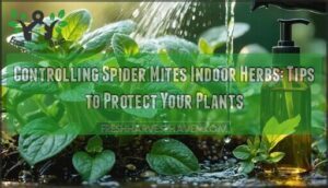 controlling spider mites indoor herbs