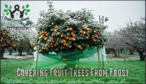 covering fruit trees from frost